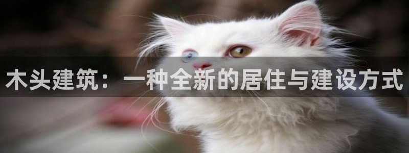 狗子28垫付金额：木头建筑：一种全新的居住与建设方式