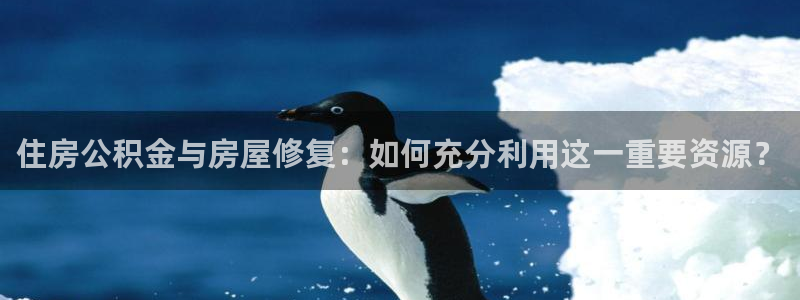 狗子28资讯官网入口：住房公积金与房屋修复：如何充分利用这一重要资源？