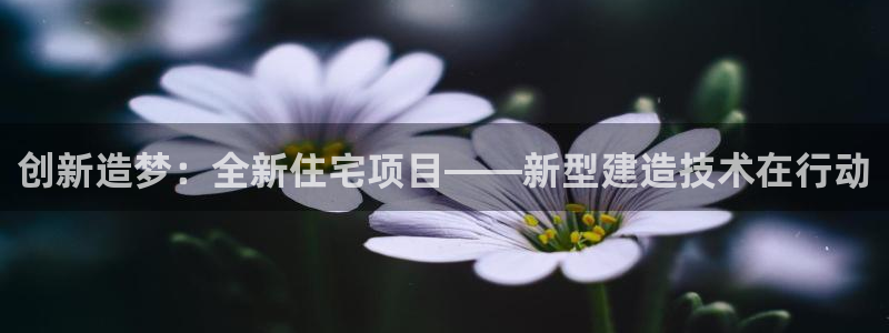 狗子28系统：创新造梦：全新住宅项目——新型建造技术在行动