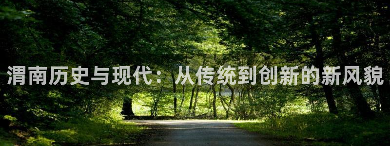 怎么下载狗子28大厅：渭南历史与现代：从传统到创新的新风貌